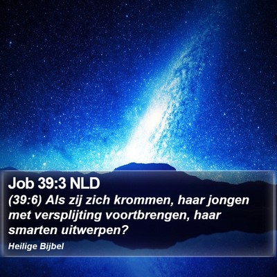 Job 39:3 NLD Bible Verse Image