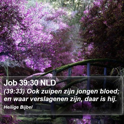 Job 39:30 NLD Bible Verse Image