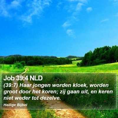 Job 39:4 NLD Bible Verse Image