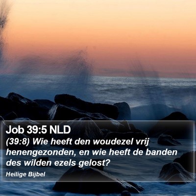Job 39:5 NLD Bible Verse Image