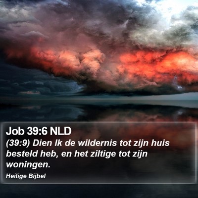 Job 39:6 NLD Bible Verse Image