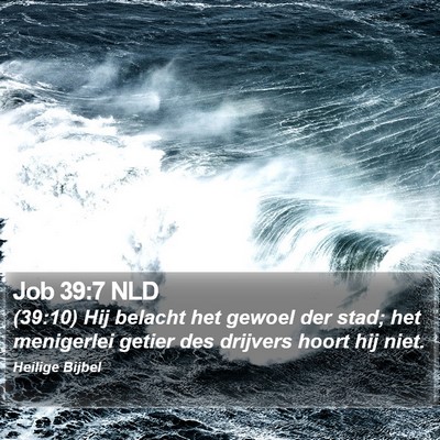 Job 39:7 NLD Bible Verse Image
