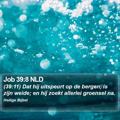 Job 39:8 NLD Bible Verse Image