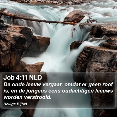 Job 4:11 NLD Bible Verse Image