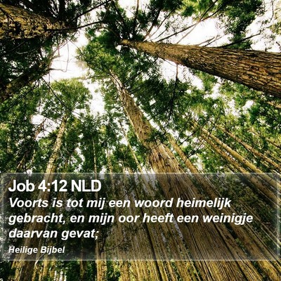Job 4:12 NLD Bible Verse Image