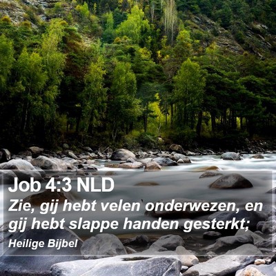 Job 4:3 NLD Bible Verse Image