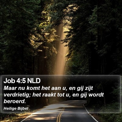 Job 4:5 NLD Bible Verse Image