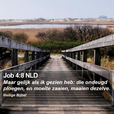 Job 4:8 NLD Bible Verse Image