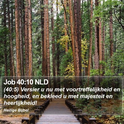 Job 40:10 NLD Bible Verse Image