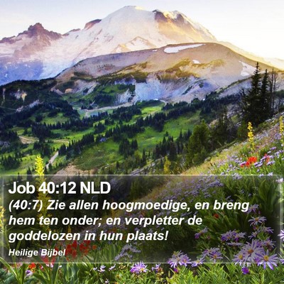 Job 40:12 NLD Bible Verse Image