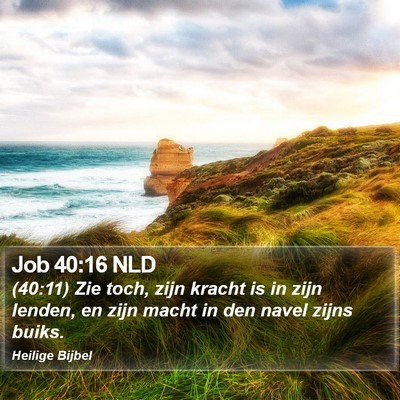 Job 40:16 NLD Bible Verse Image