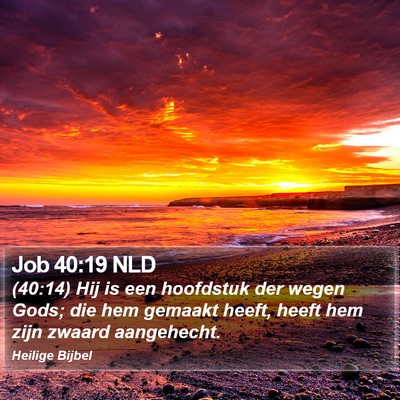 Job 40:19 NLD Bible Verse Image
