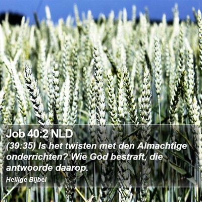 Job 40:2 NLD Bible Verse Image