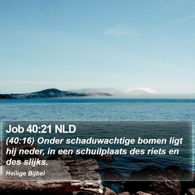 Job 40:21 NLD Bible Verse Image