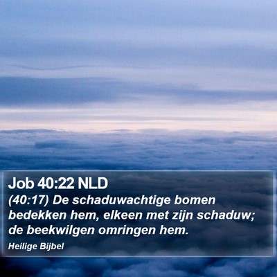 Job 40:22 NLD Bible Verse Image