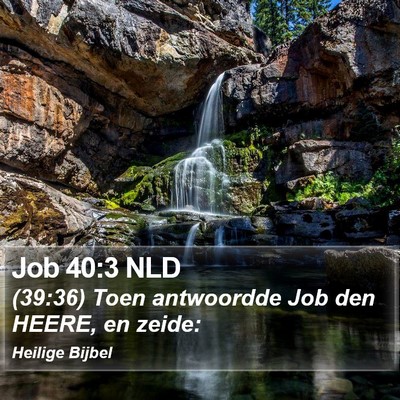 Job 40:3 NLD Bible Verse Image