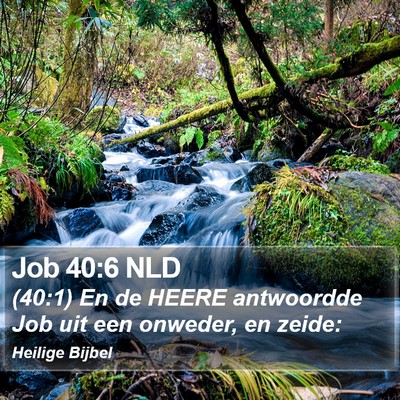 Job 40:6 NLD Bible Verse Image