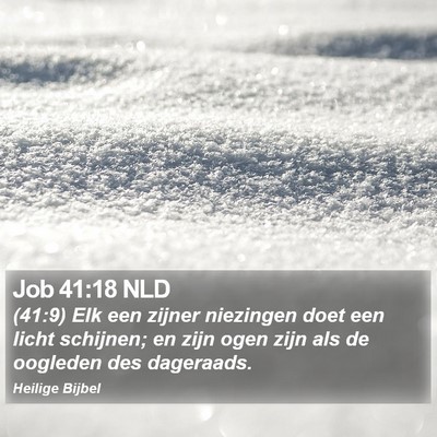 Job 41:18 NLD Bible Verse Image