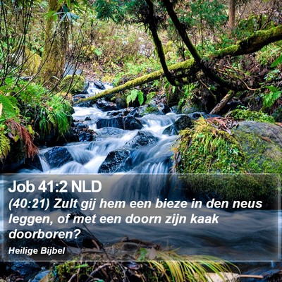 Job 41:2 NLD Bible Verse Image