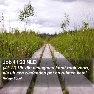 Job 41:20 NLD Bible Verse Image