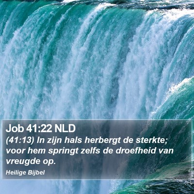 Job 41:22 NLD Bible Verse Image