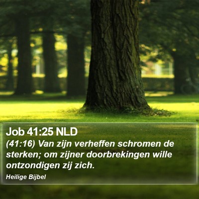 Job 41:25 NLD Bible Verse Image