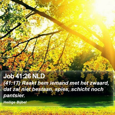 Job 41:26 NLD Bible Verse Image