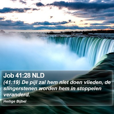 Job 41:28 NLD Bible Verse Image