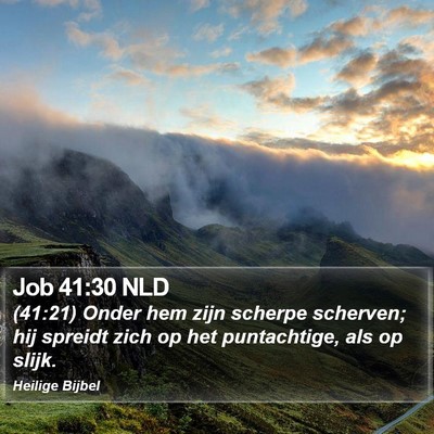 Job 41:30 NLD Bible Verse Image