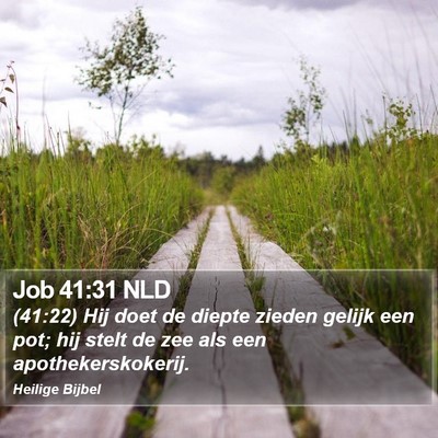 Job 41:31 NLD Bible Verse Image