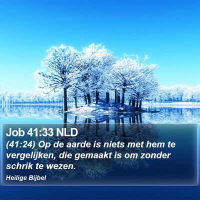 Job 41:33 NLD Bible Verse Image