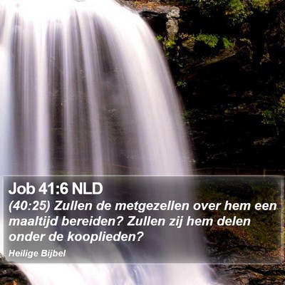 Job 41:6 NLD Bible Verse Image