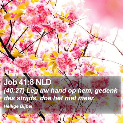 Job 41:8 NLD Bible Verse Image