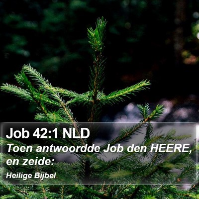 Job 42:1 NLD Bible Verse Image