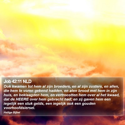 Job 42:11 NLD Bible Verse Image