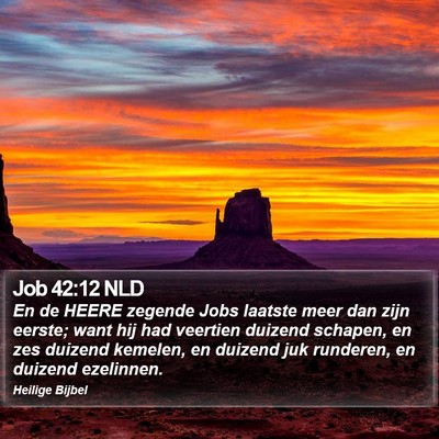 Job 42:12 NLD Bible Verse Image