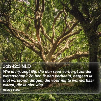 Job 42:3 NLD Bible Verse Image