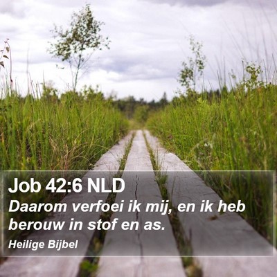 Job 42:6 NLD Bible Verse Image