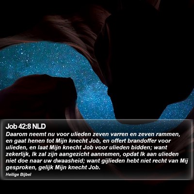 Job 42:8 NLD Bible Verse Image