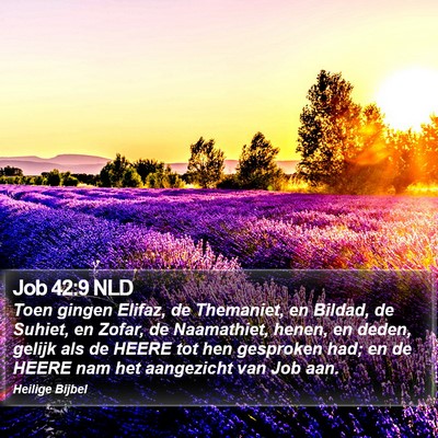 Job 42:9 NLD Bible Verse Image