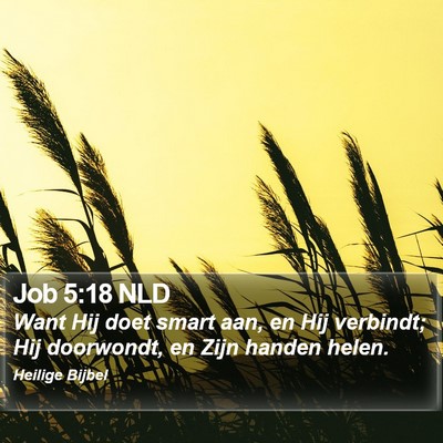 Job 5:18 NLD Bible Verse Image