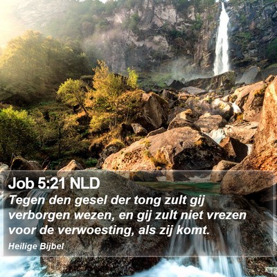 Job 5:21 NLD Bible Verse Image