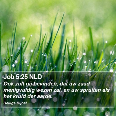 Job 5:25 NLD Bible Verse Image