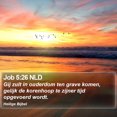 Job 5:26 NLD Bible Verse Image