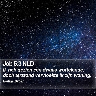 Job 5:3 NLD Bible Verse Image