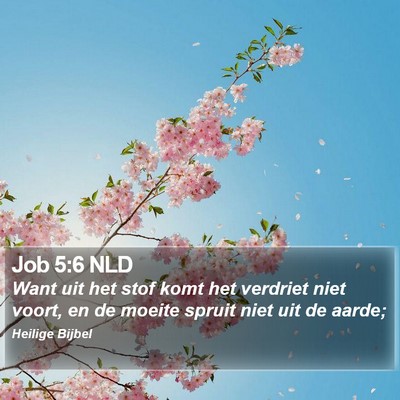 Job 5:6 NLD Bible Verse Image