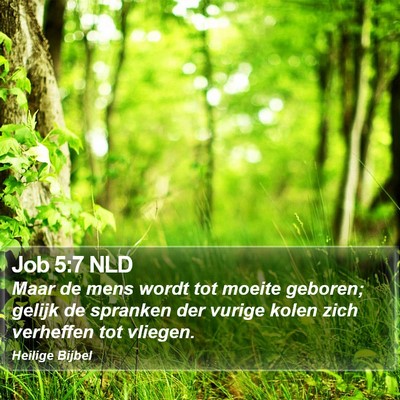 Job 5:7 NLD Bible Verse Image