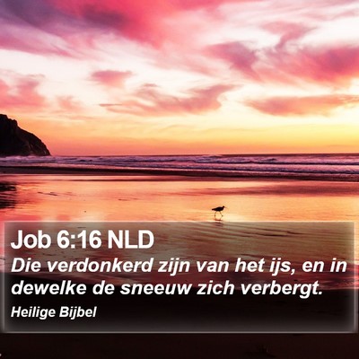 Job 6:16 NLD Bible Verse Image