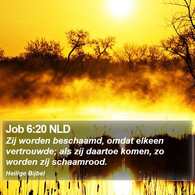 Job 6:20 NLD Bible Verse Image