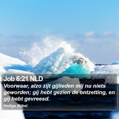 Job 6:21 NLD Bible Verse Image
